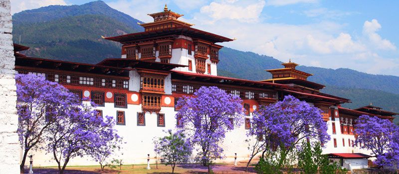 Best Time to Visit Bhutan with Family