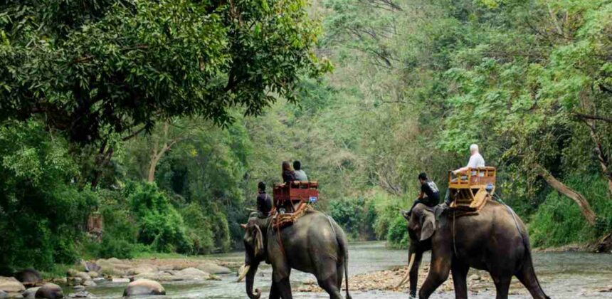 Dooars Jungle Safari