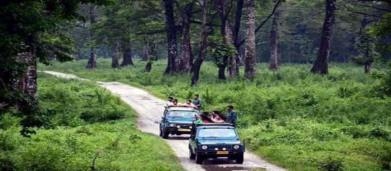 Safari Experiences in Dooars