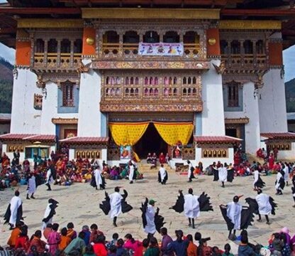 Black-Necked Crane Festival