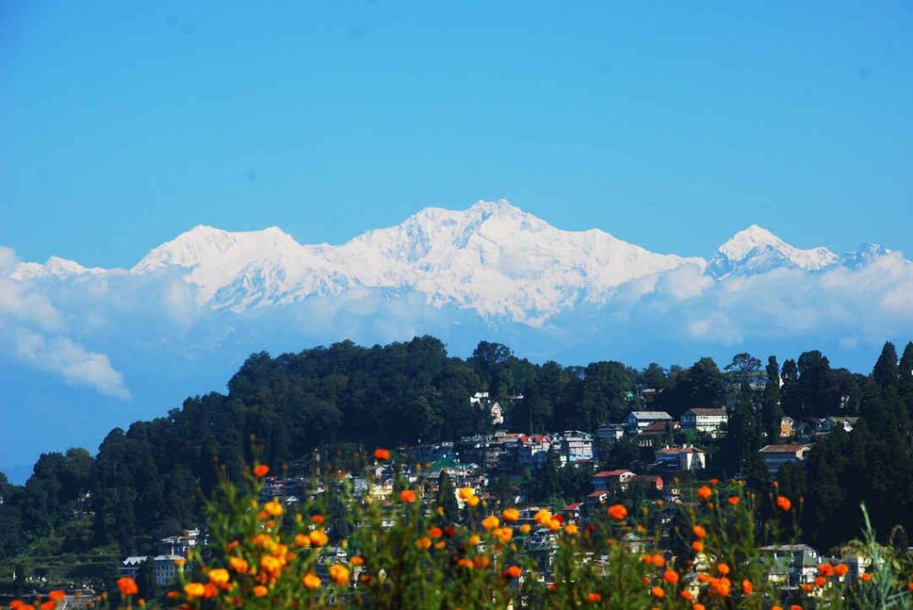 Darjeeling: Forest Escapes in the Queen of Hills