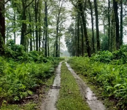 Dooars Tour Package Price List