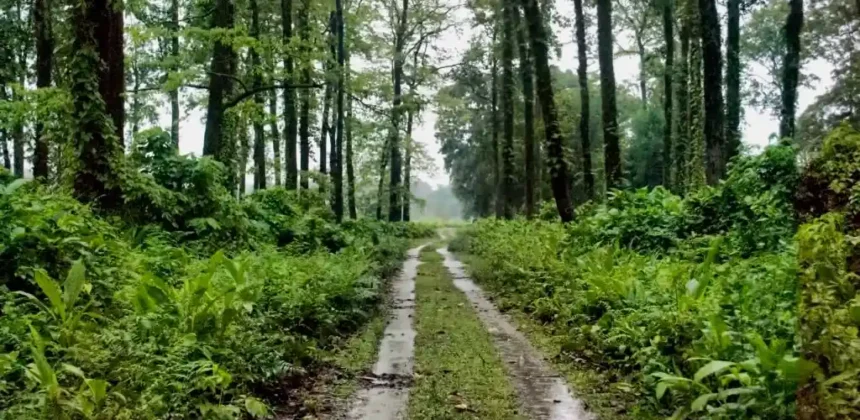 Dooars Tour Package Price List