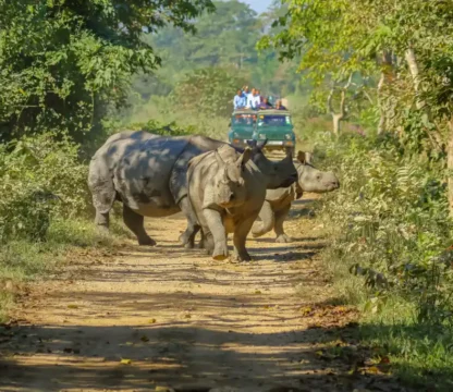 Dooars in West Bengal Tour Packages