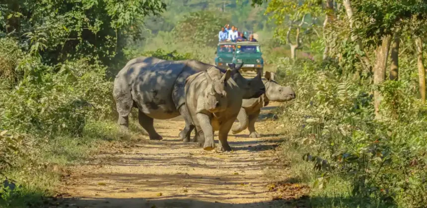 Dooars in West Bengal Tour Packages