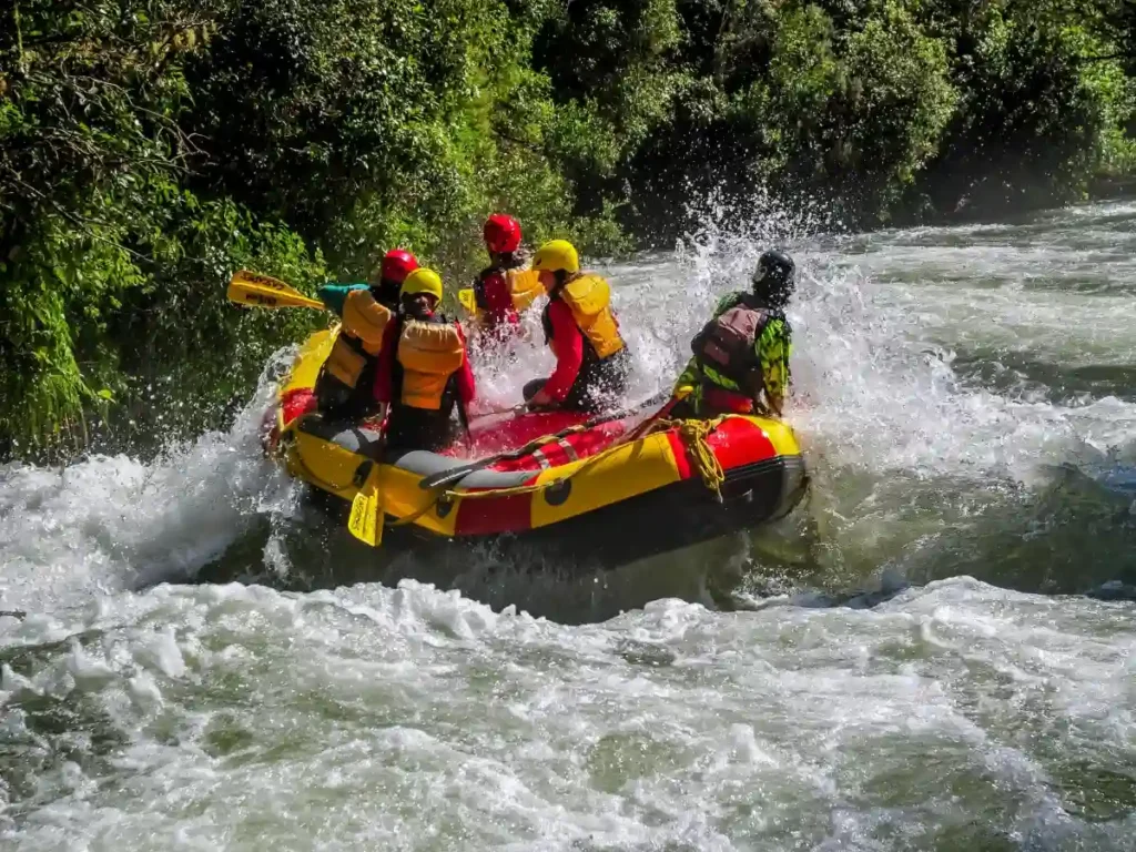 White Water Rafting in Teesta River