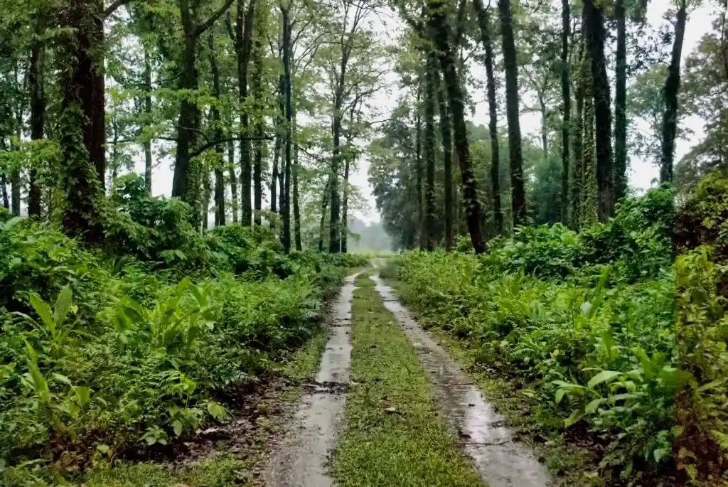 Dooars Tourist Places