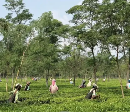 Dooars Tourist Places