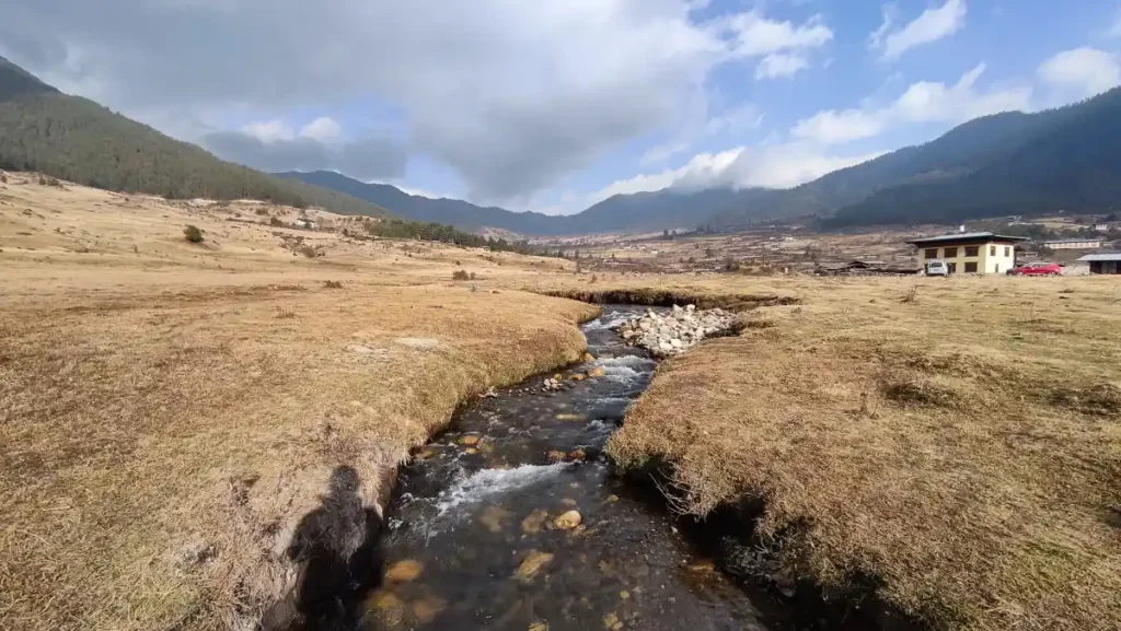Phobjikha Valley – A Unique Winter Wildlife Experience