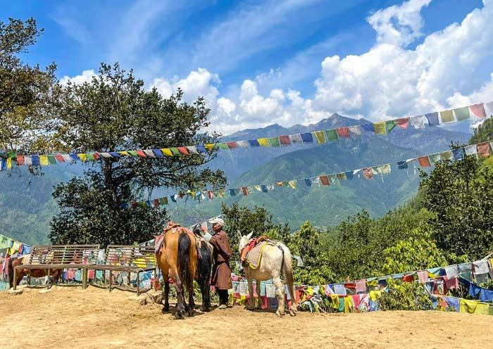 Is April Festival Season Worth It? Crowd and Cultural Insights