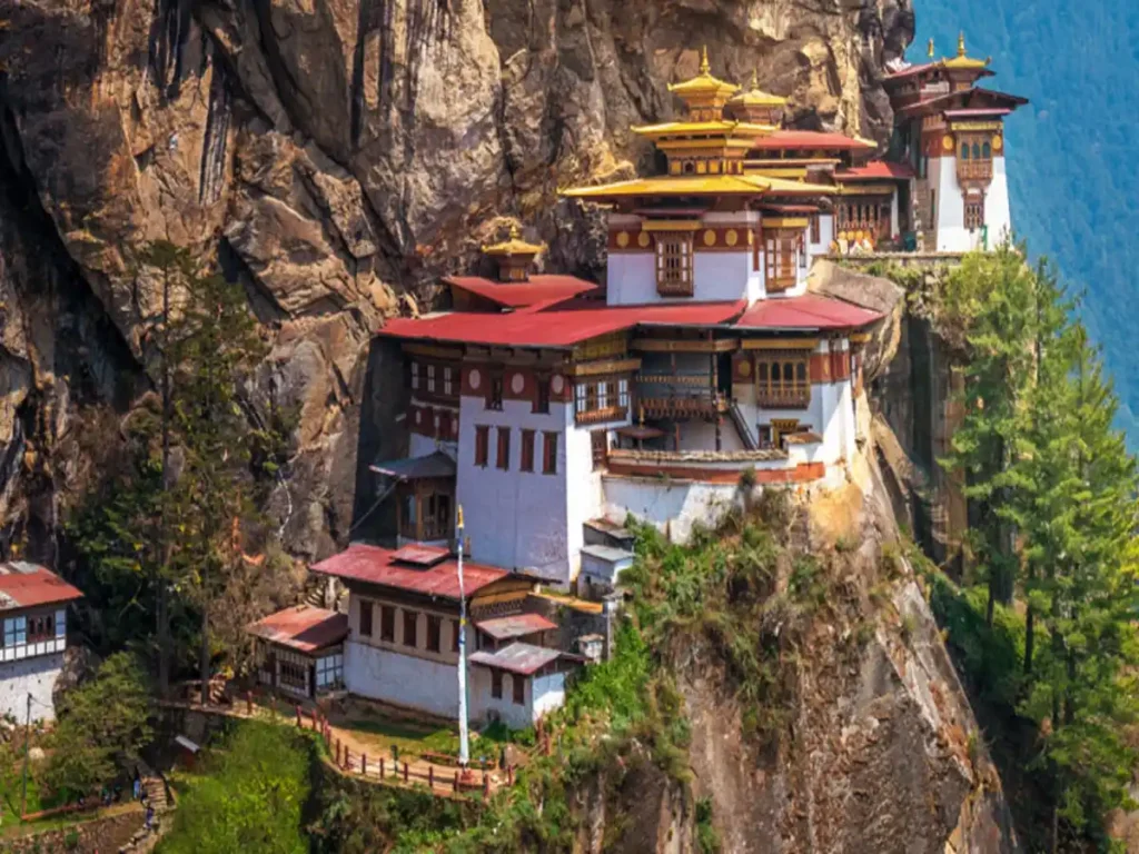 Begin Your Honeymoon Journey with Confidence
