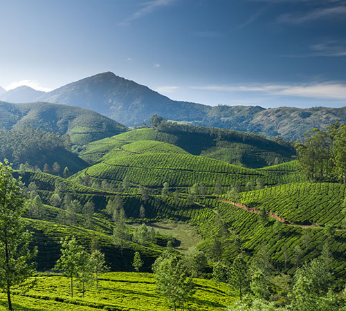 68013welcome-to-eastern-himalaya-thumb (1)